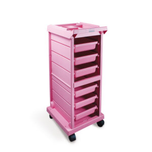 Carrito Liceo Rosa Bifull